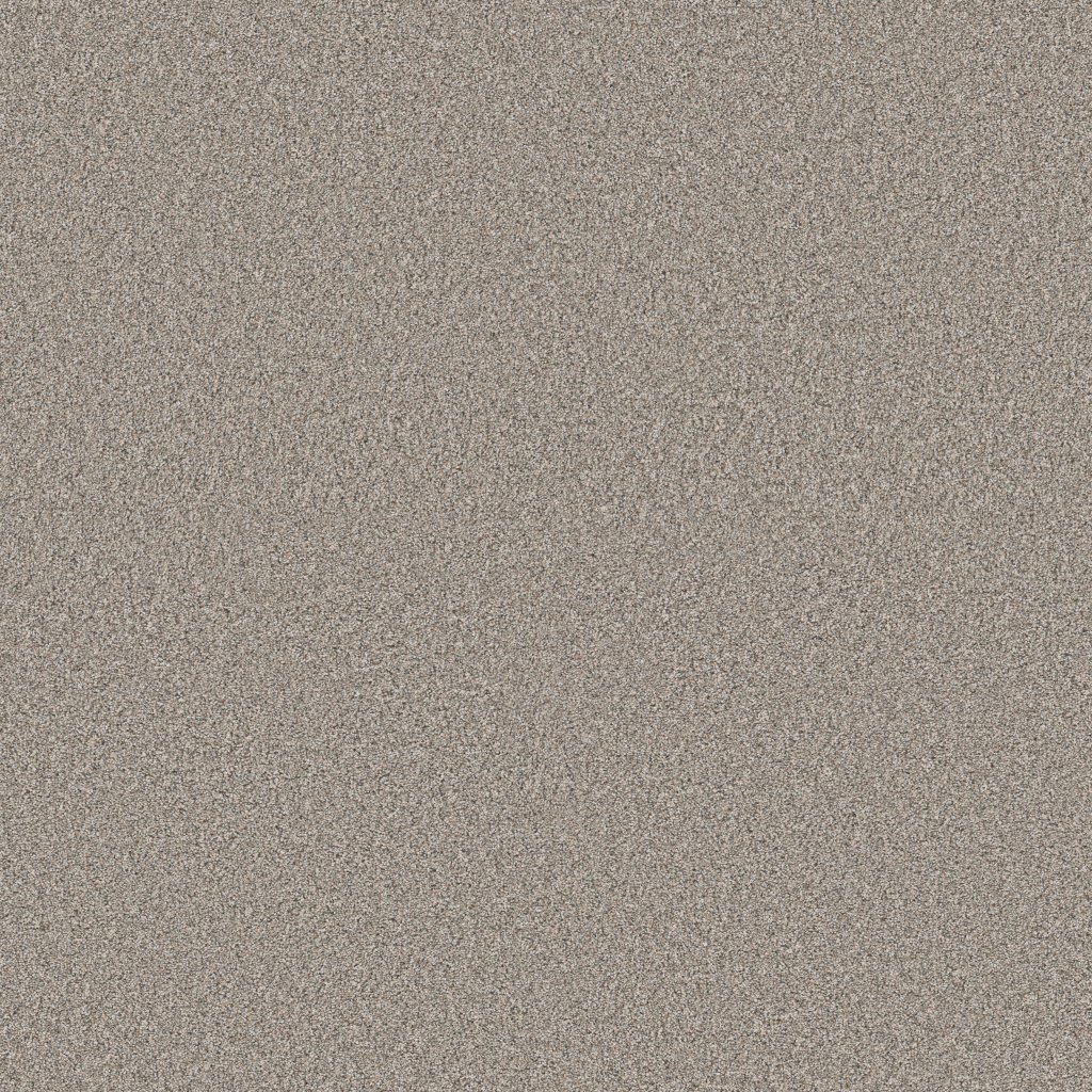 Shaw Floors Timeless Tone Blue - Latte