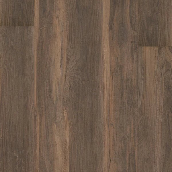 Philadelphia Commercial Symbiotic 12 - Terra