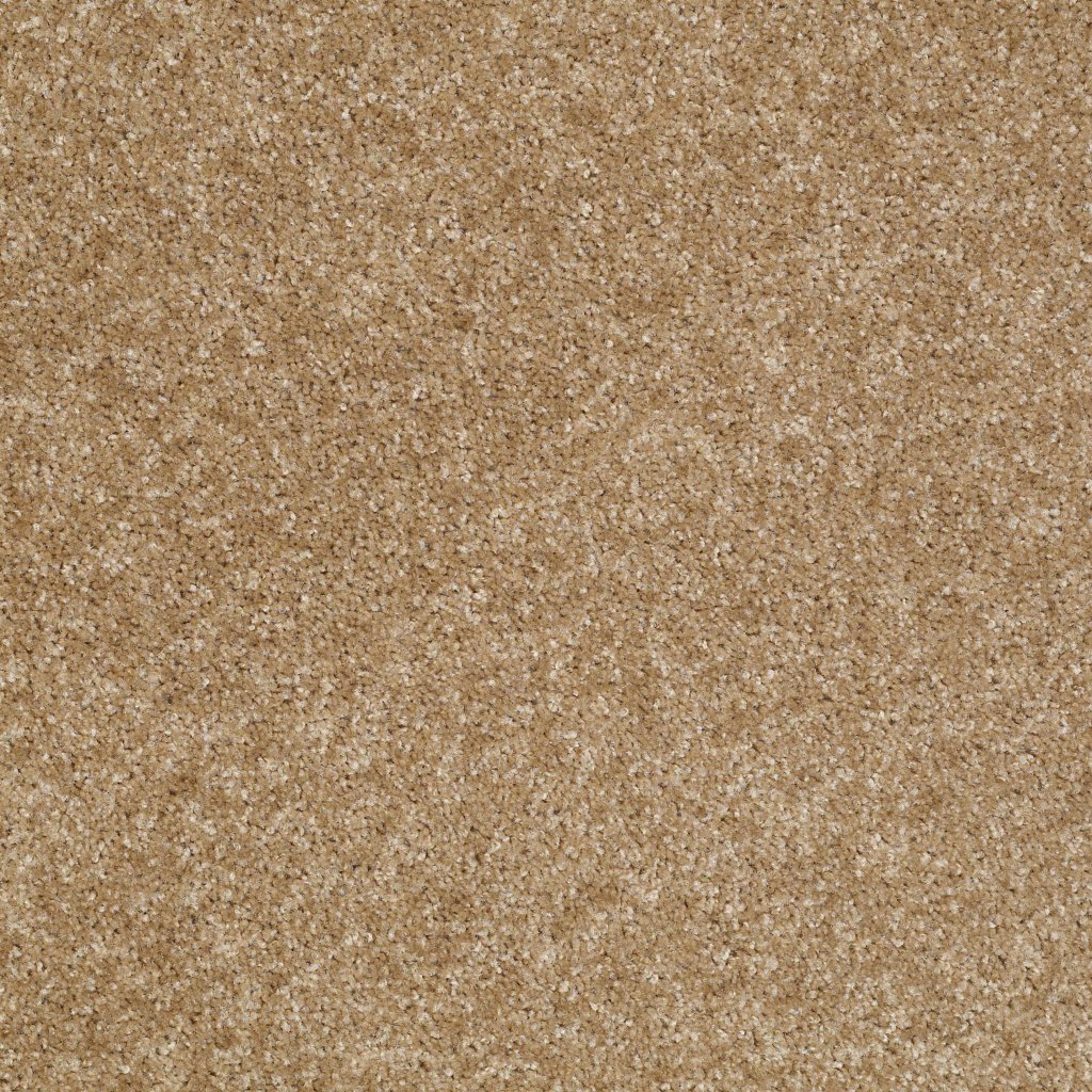 Shaw Floors Victory - Country Road