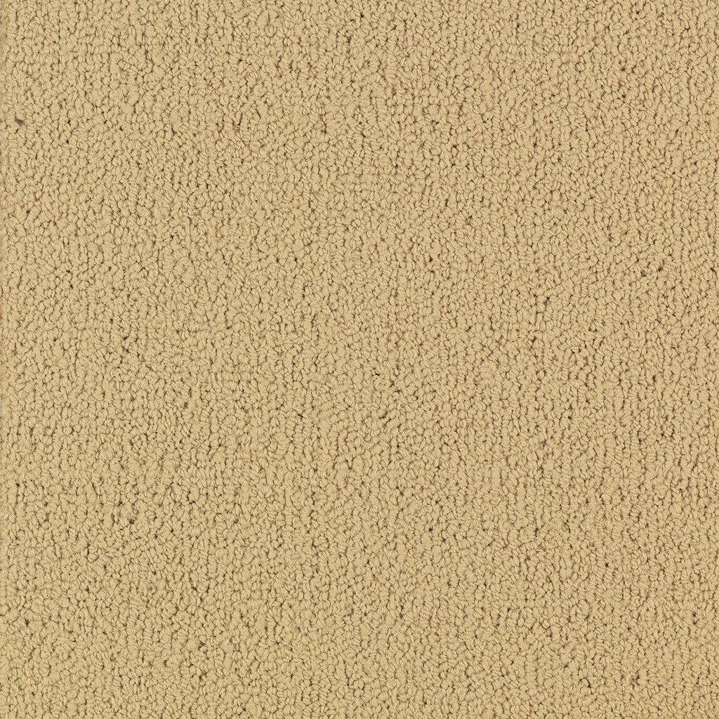 Philadelphia Commercial Color Accents - Flax