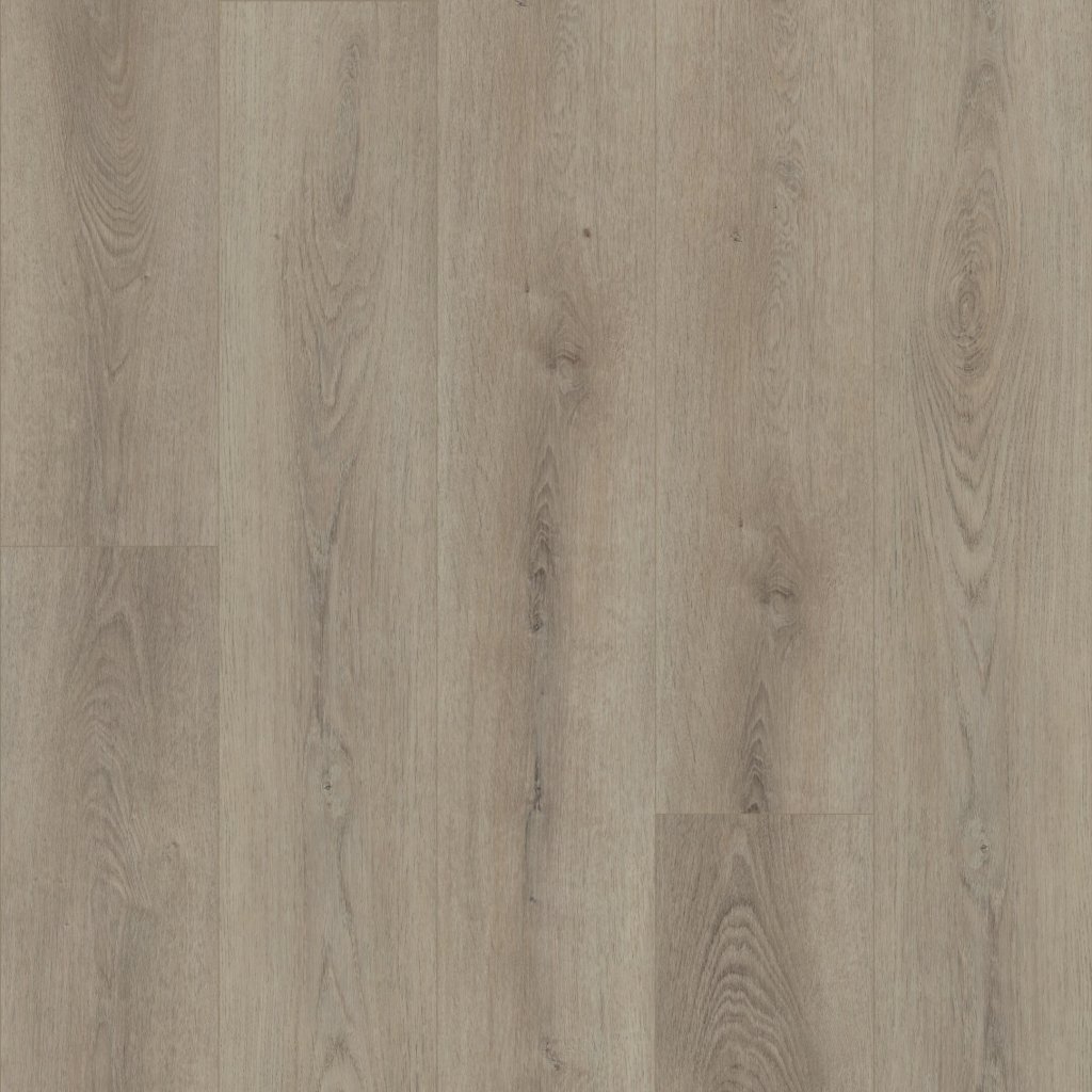 Shaw Floors Paladin Plus - Toasted Taupe