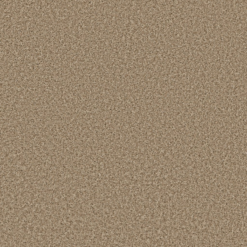 Shaw Floors Color Flair - Natural Wood