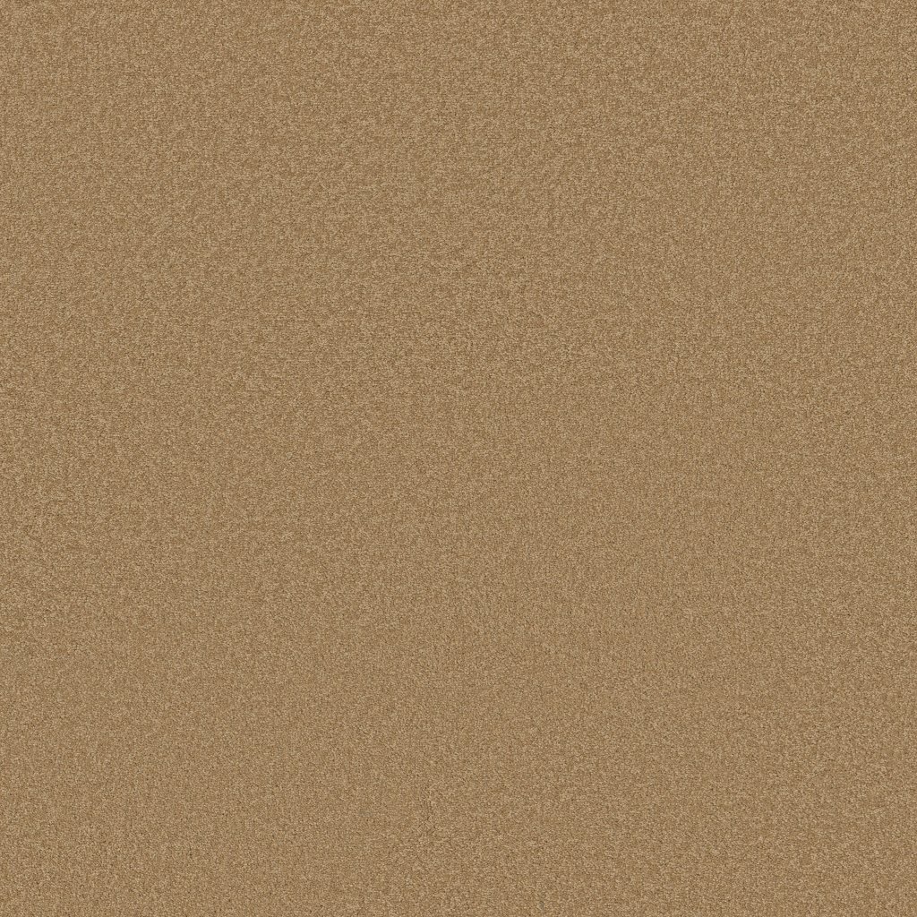 Shaw Floors Shingle Creek III 12' - Cork