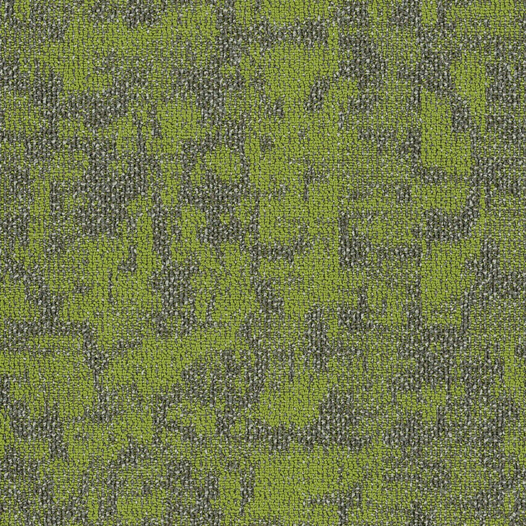 Philadelphia Commercial Arid - Taiga