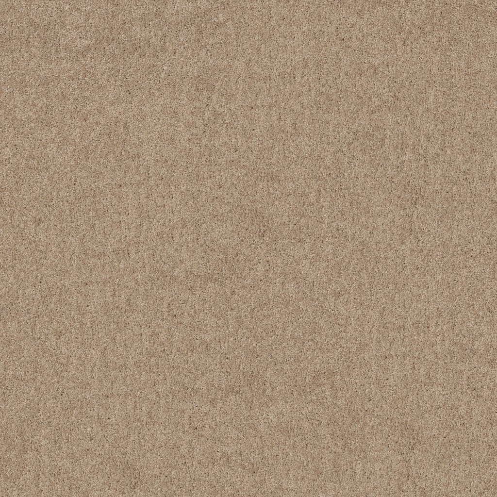 Shaw Floors Hot Topic - Tassel
