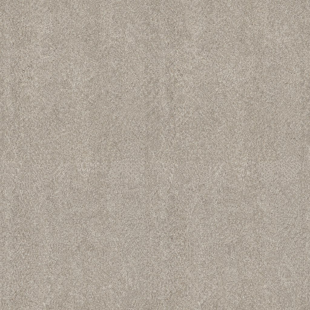 Shaw Floors Blended Touch I - Raw Silk