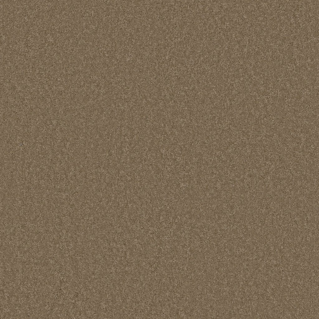 Shaw Floors THAT'S RIGHT - Bridgewater Tan