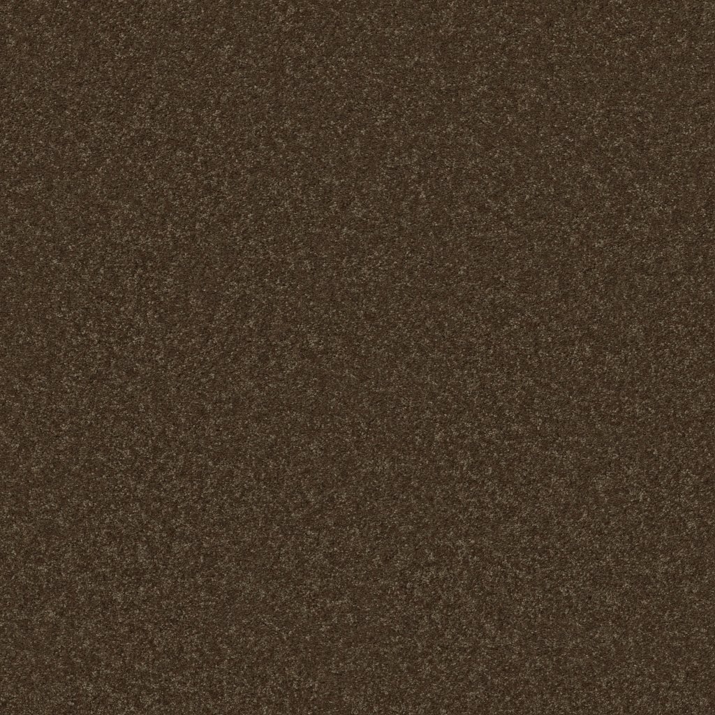 Shaw Floors Well Played II 15' - Briar Patch