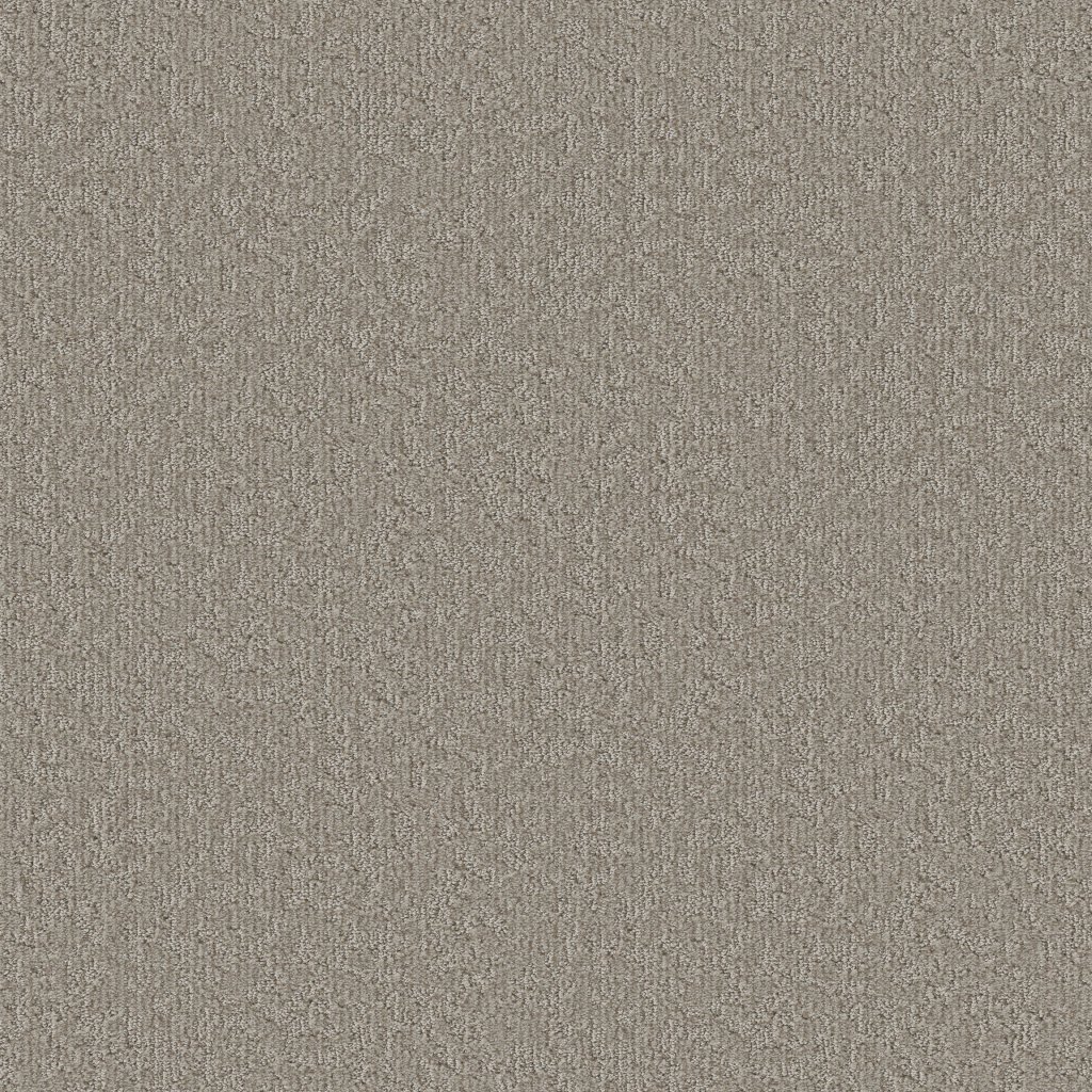 Shaw Floors Clever Blend - Chic Greige