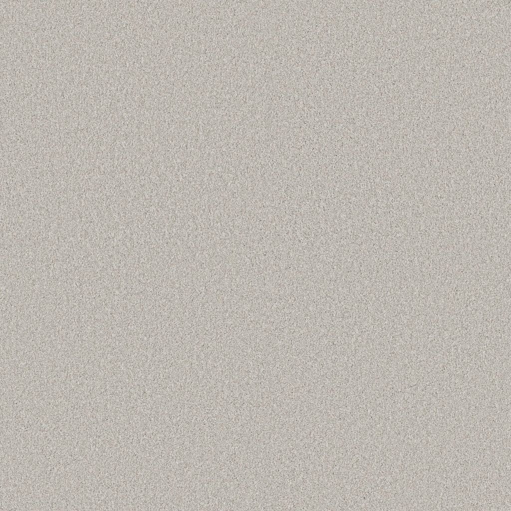 Shaw Floors Classic Tone - Distant Star