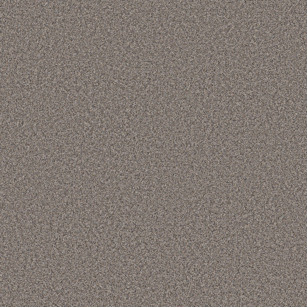 Shaw Floors Artistic Fusion II - Shadow