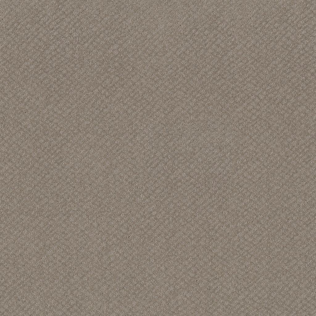 Shaw Floors Chic Shades - River Run