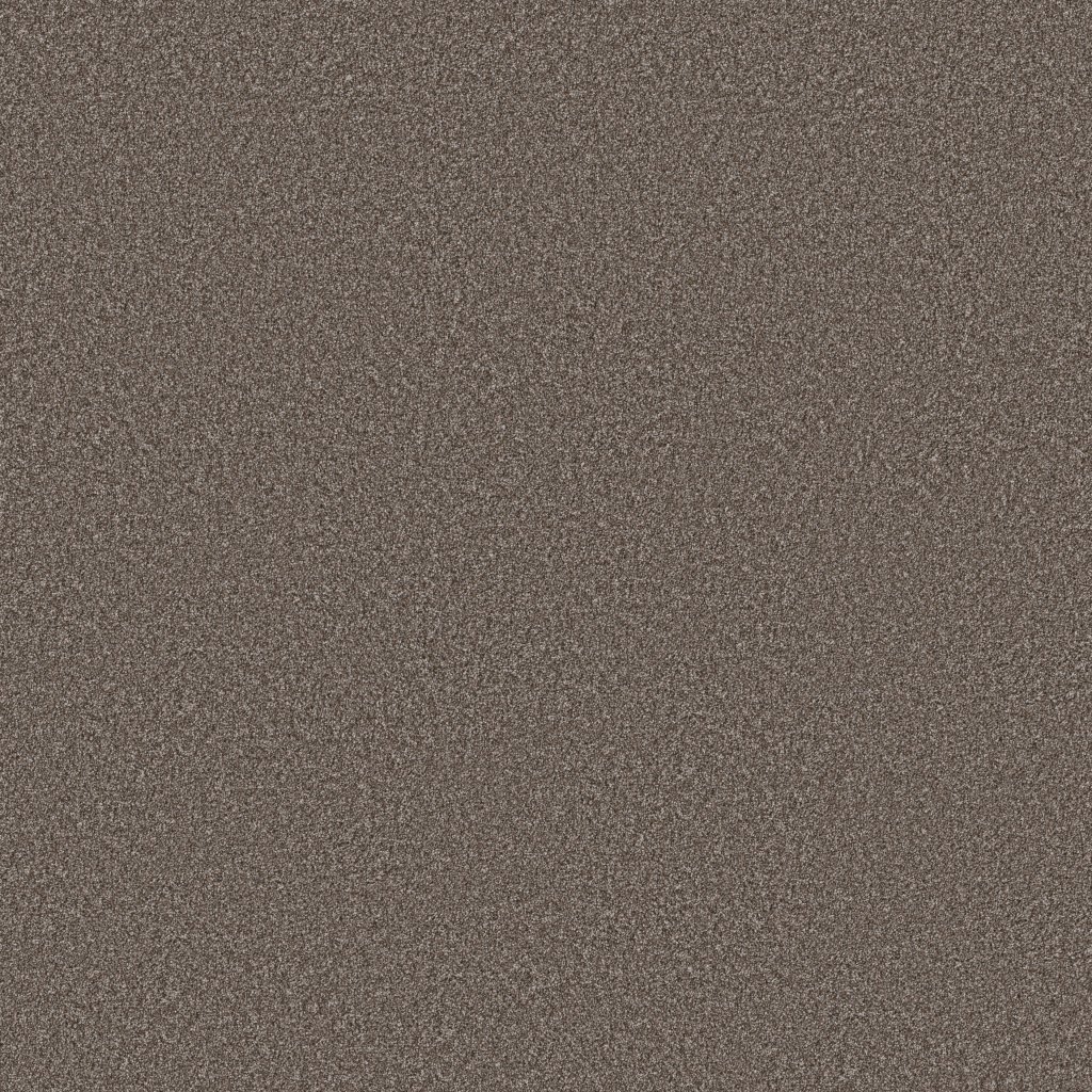 Shaw Floors Imaginable I - French Roast
