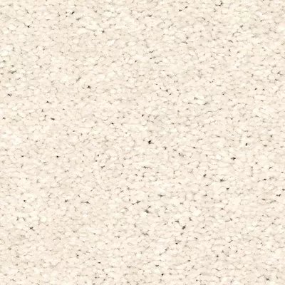 Mohawk Quality Living II - Wisp