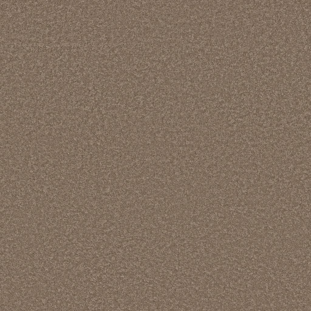 Shaw Floors Velvet Touch II - Timberlake