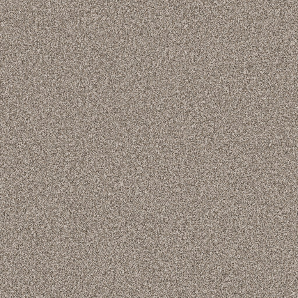 Shaw Floors Remixed Classic - Pebble