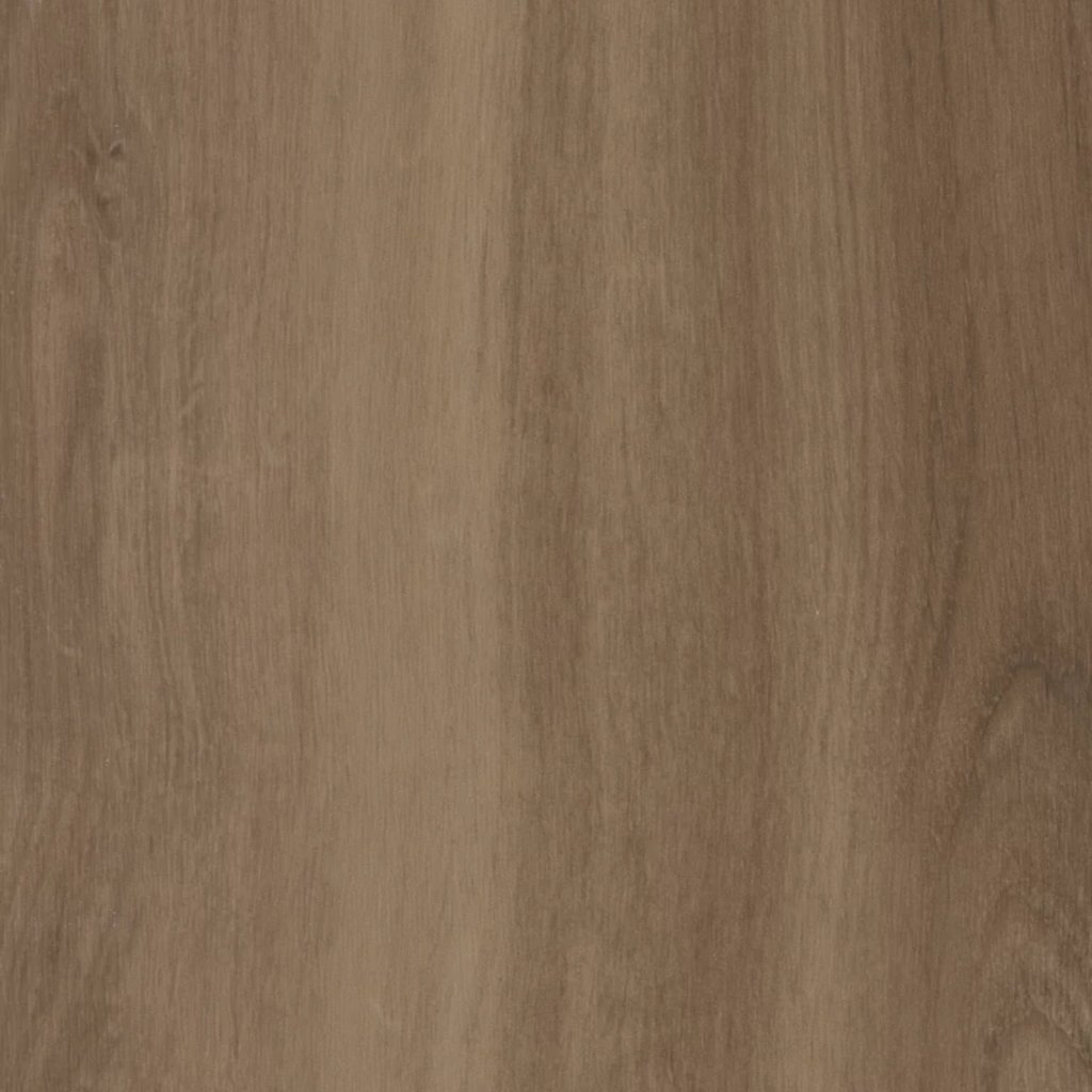 Philadelphia Commercial Rewild - Delight