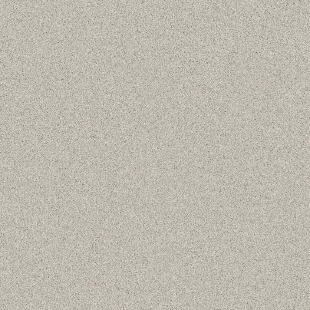 Shaw Floors Tonal Comfort II - Whitewashed Frame