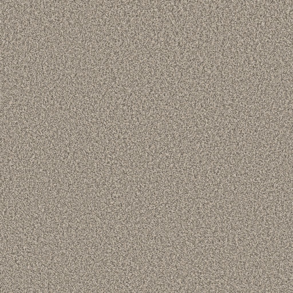 Shaw Floors Tweed Comfort II - Got The Giggles