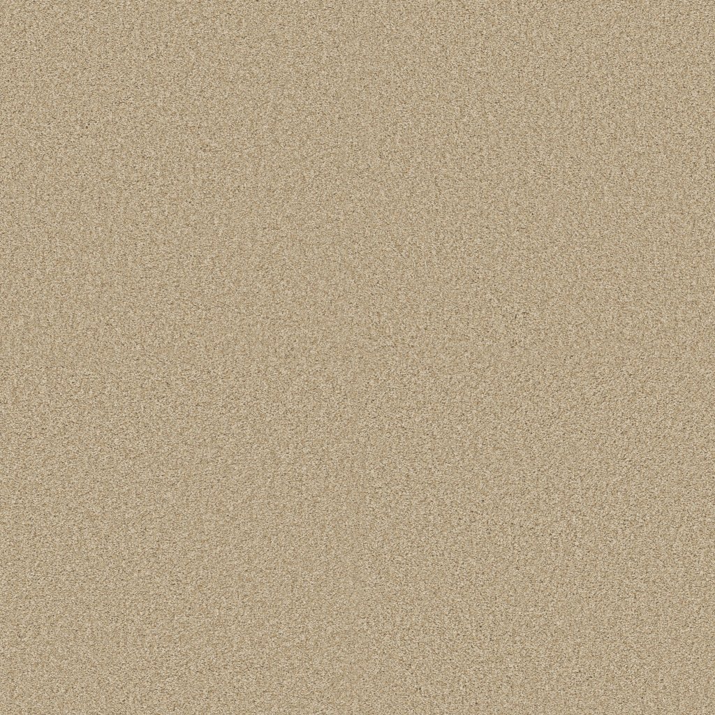 Shaw Floors Tonal Comfort II - Bold Moves