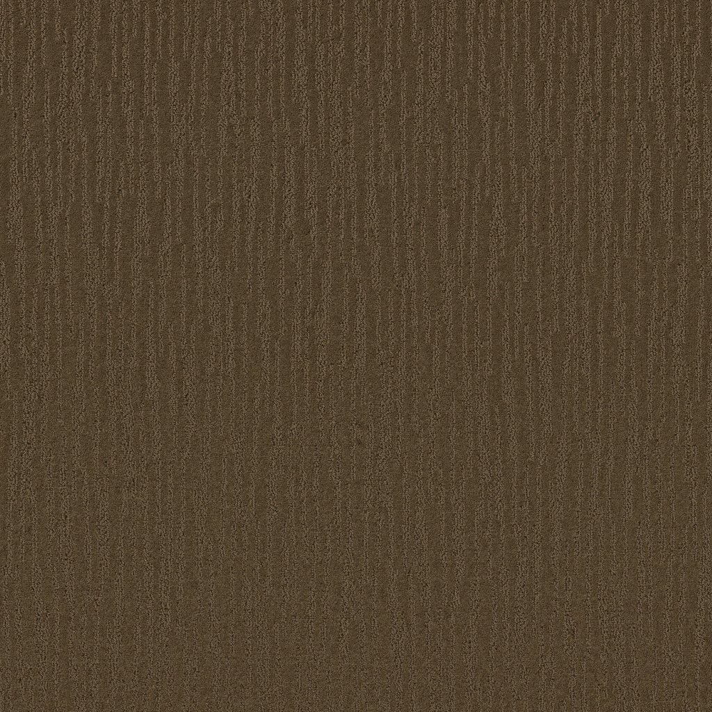 Shaw Floors Bandon Dunes - Mocha Chip