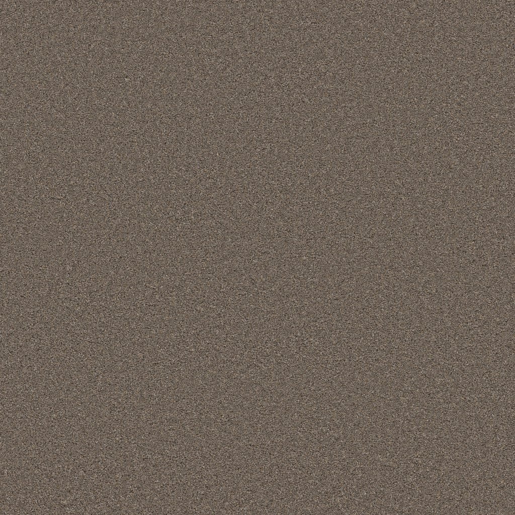 Shaw Floors Blended Touch II - Tweed