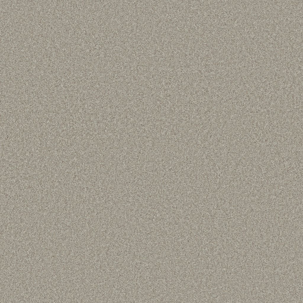Shaw Floors Tonal Comfort II - Honey Tea