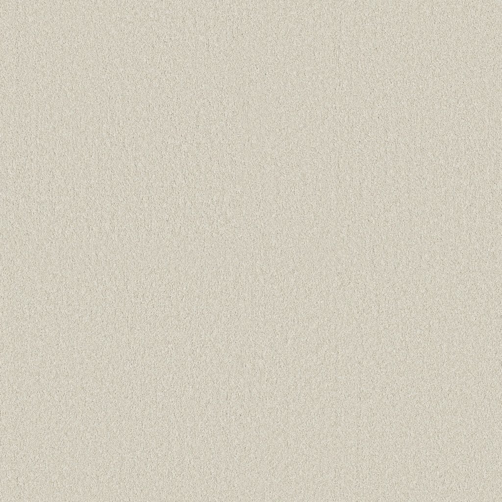 Shaw Floors Classic Tone - Cool Winter