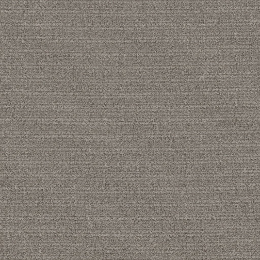 Shaw Floors Aerial Arts - Dark Slate