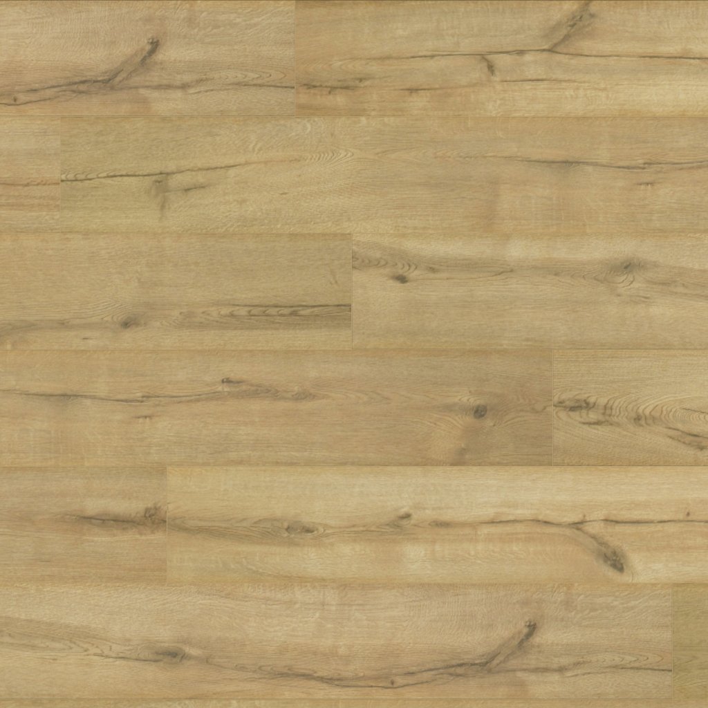 Mohawk Castlebriar - Cavalry Oak