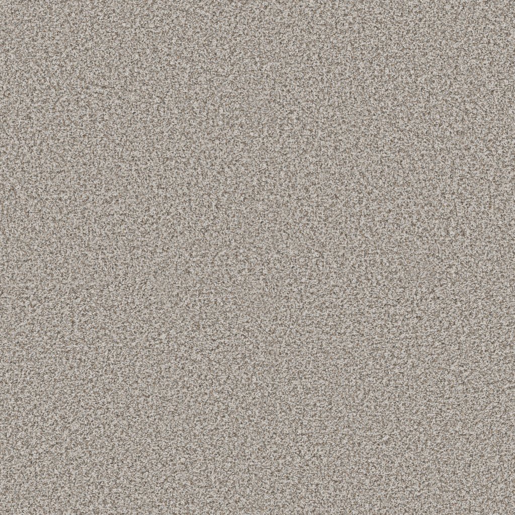 Shaw Floors Make It Work - Ambiance