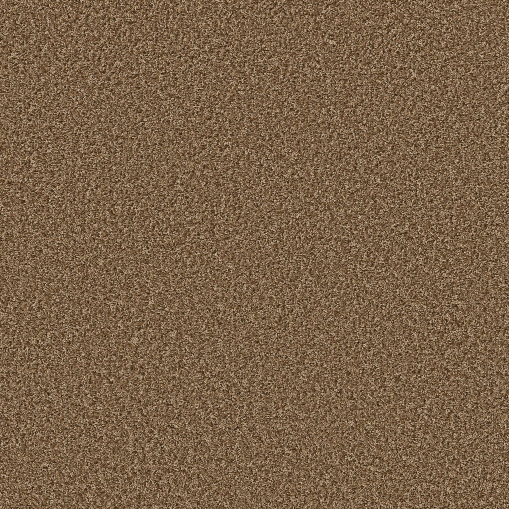 Shaw Floors Color Flair - Log Cabin