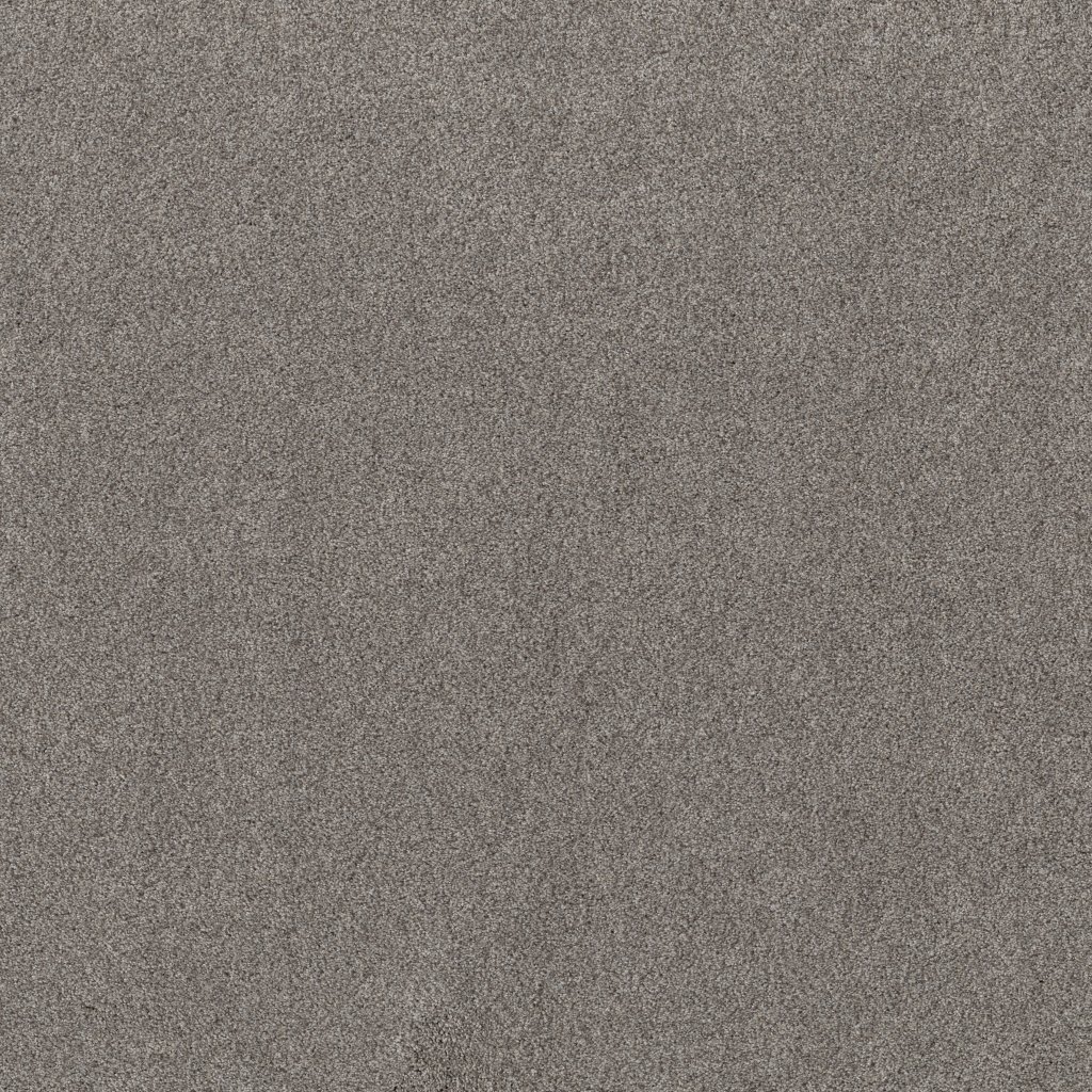 Shaw Floors Live On Comfort - Century Taupe