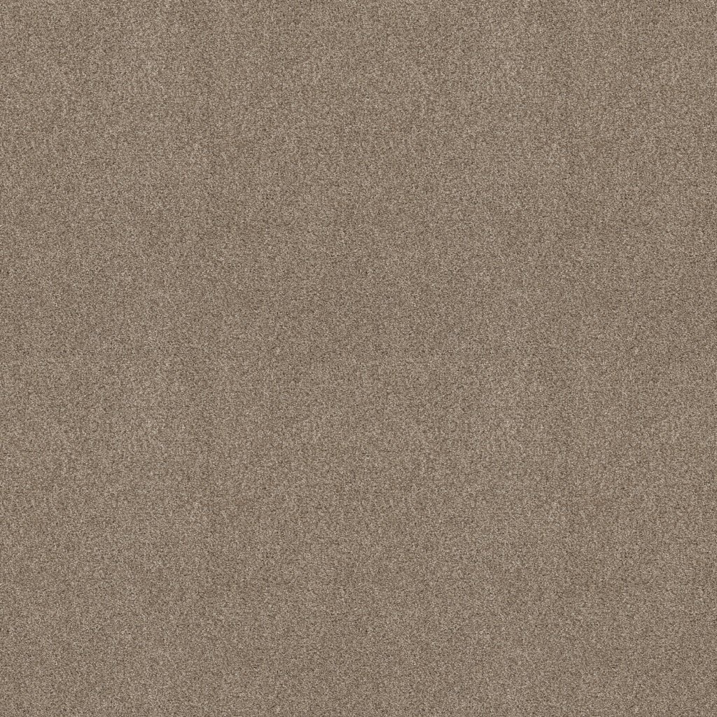 Shaw Floors Tonal Comfort I - Dinner With Friends