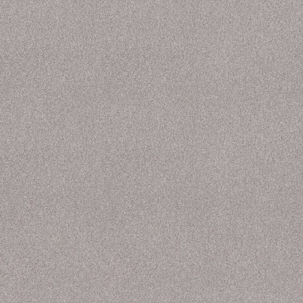 Shaw Floors Tonal Comfort I - Dreamy
