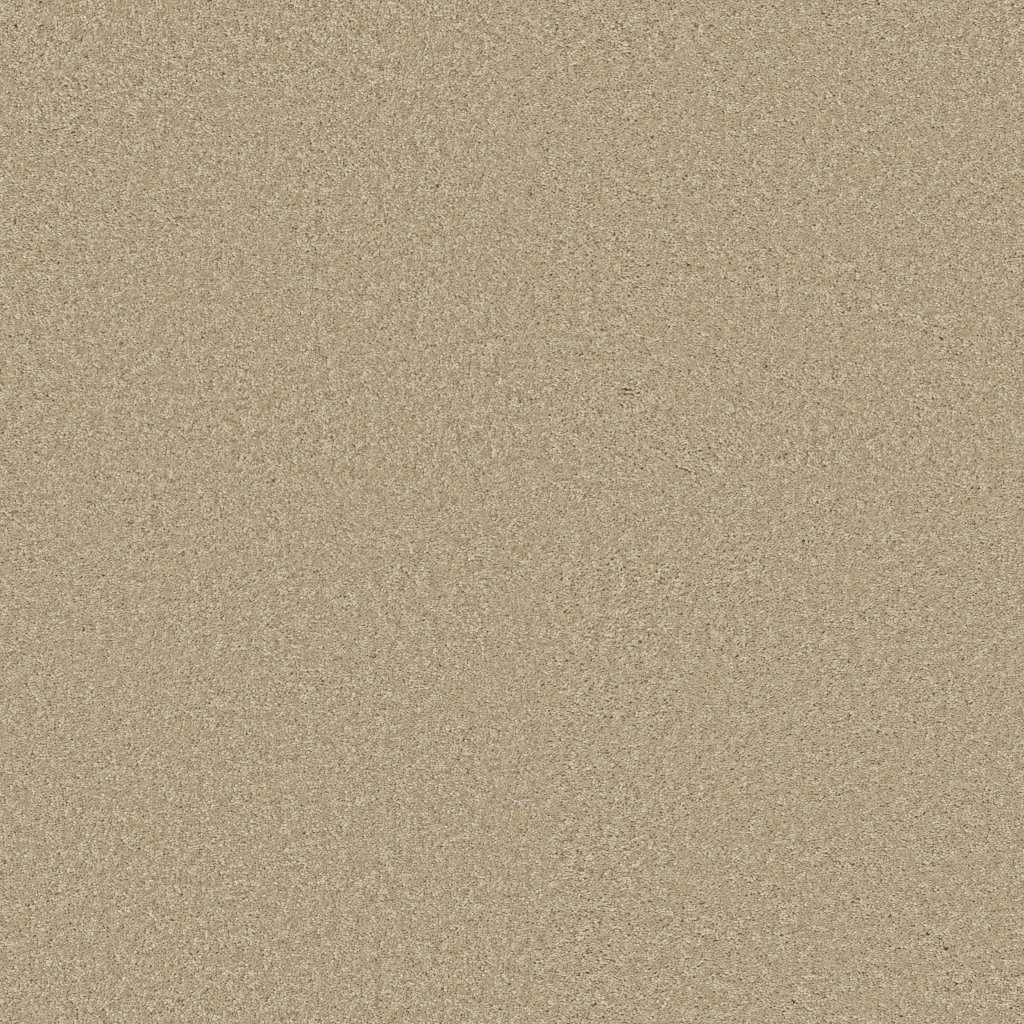 Shaw Floors Step Right Up Ii 12' - Agate
