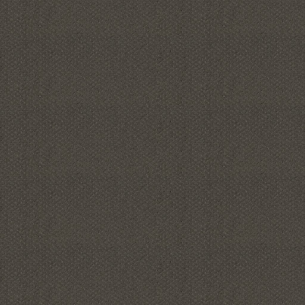 Shaw Floors Genesis - Graphite