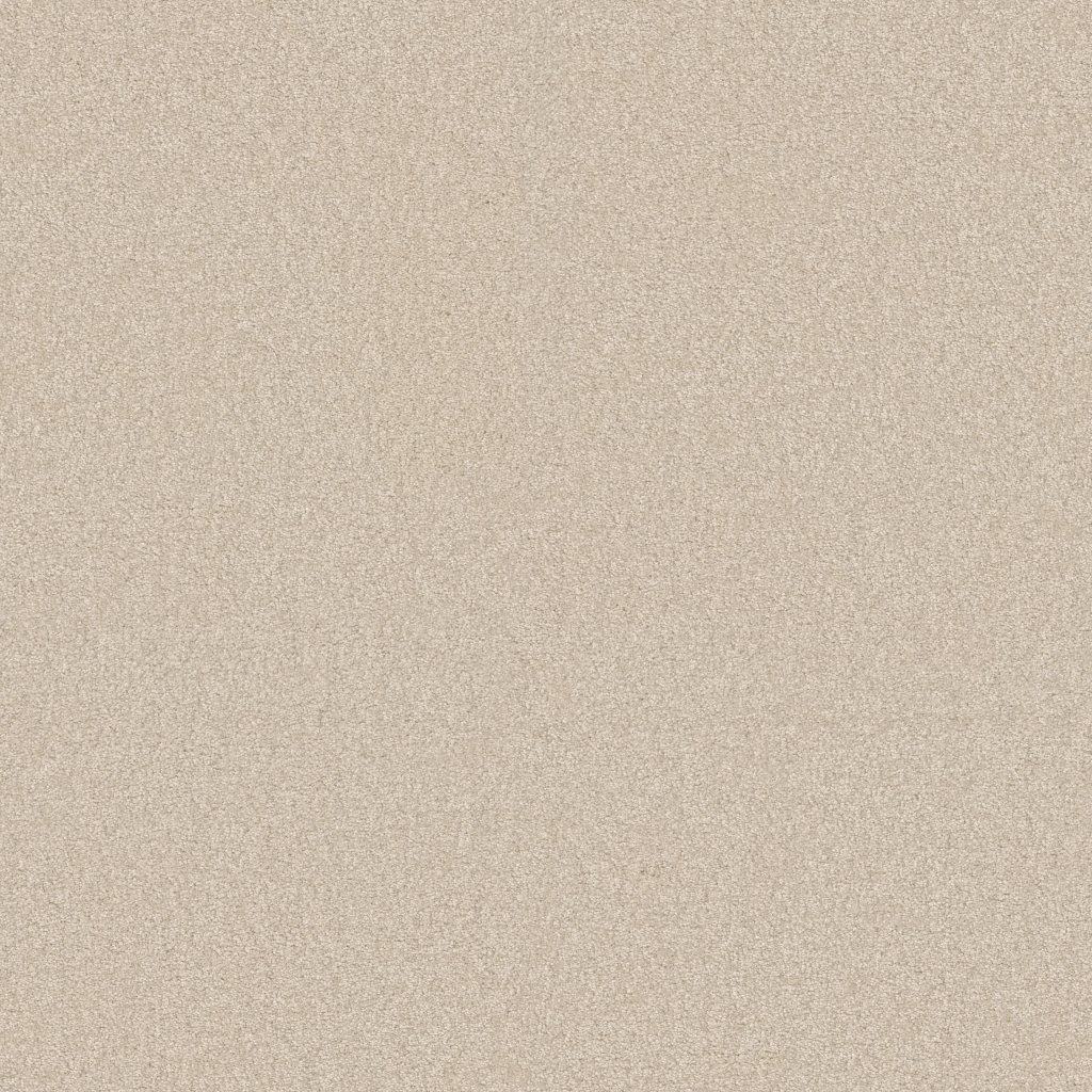 Shaw Floors YOU KNOW IT - Royal Silk