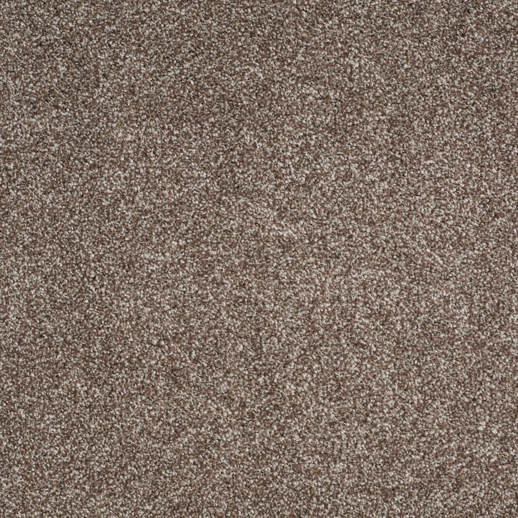 Shaw Floors Always Ready I - Cobble Brown