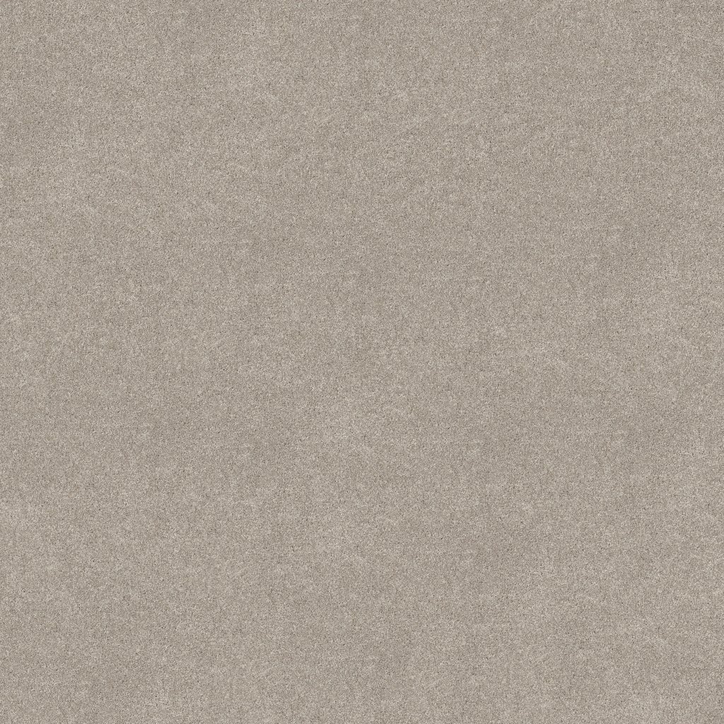 Shaw Floors Vivid Touch II - Chic Taupe