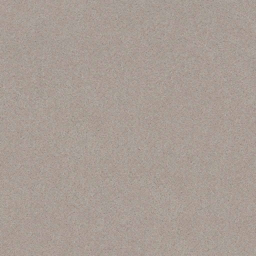 Shaw Floors Secret Adventure - Chic Taupe