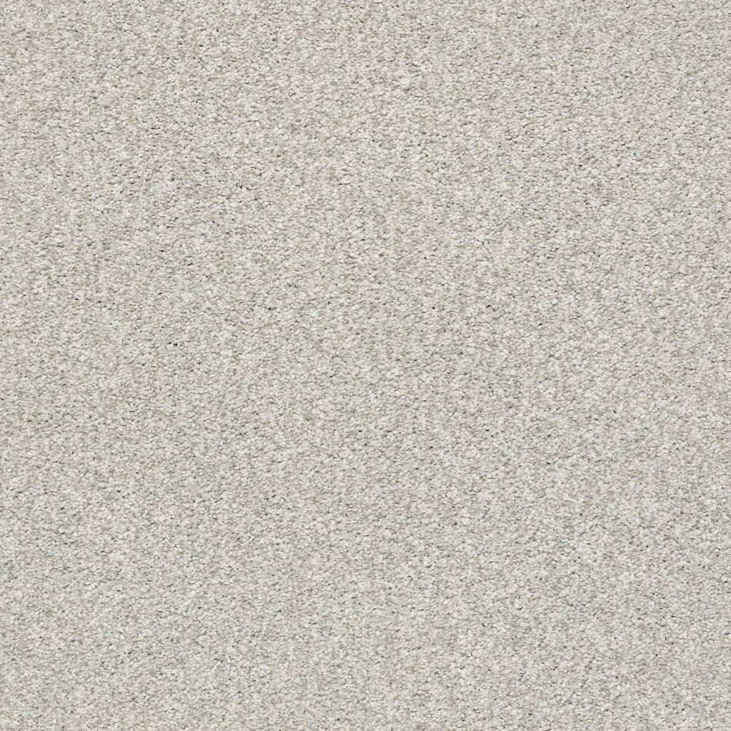 Shaw Floors Tonal Comfort II - Quiet Time