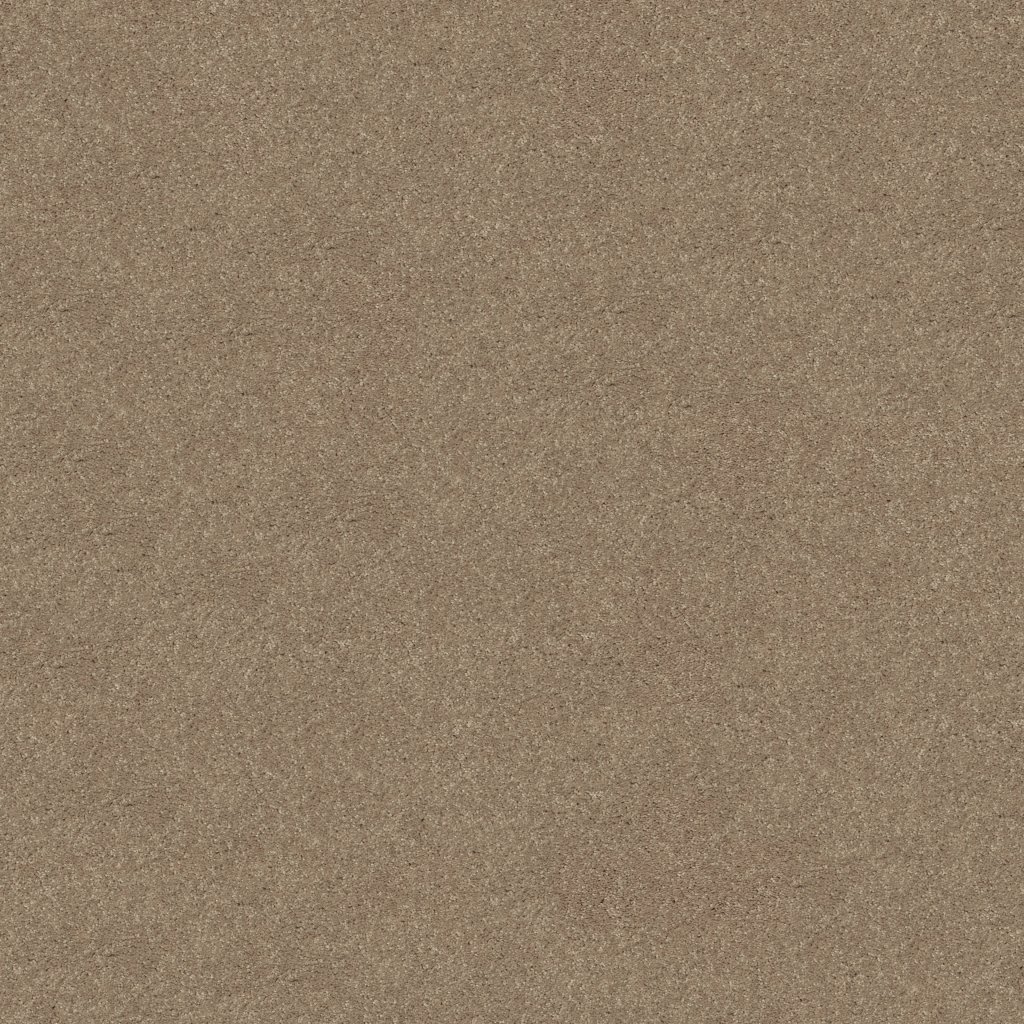 Shaw Floors Newbern Classic 15' - Plaster