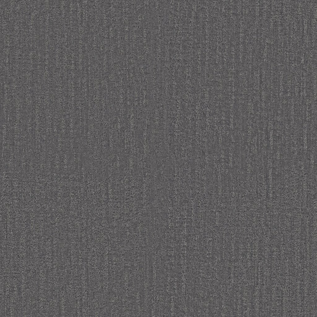 Shaw Floors Endless Memories - Power Suit