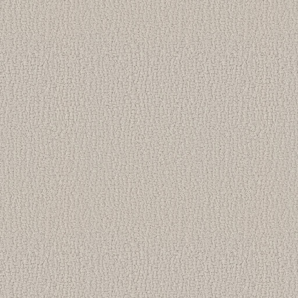Shaw Floors Studio Set - Scotch Mist