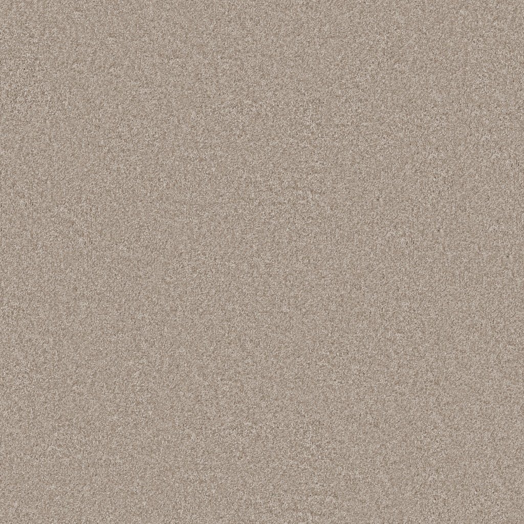 Shaw Floors You Got This III - Subtle Clay