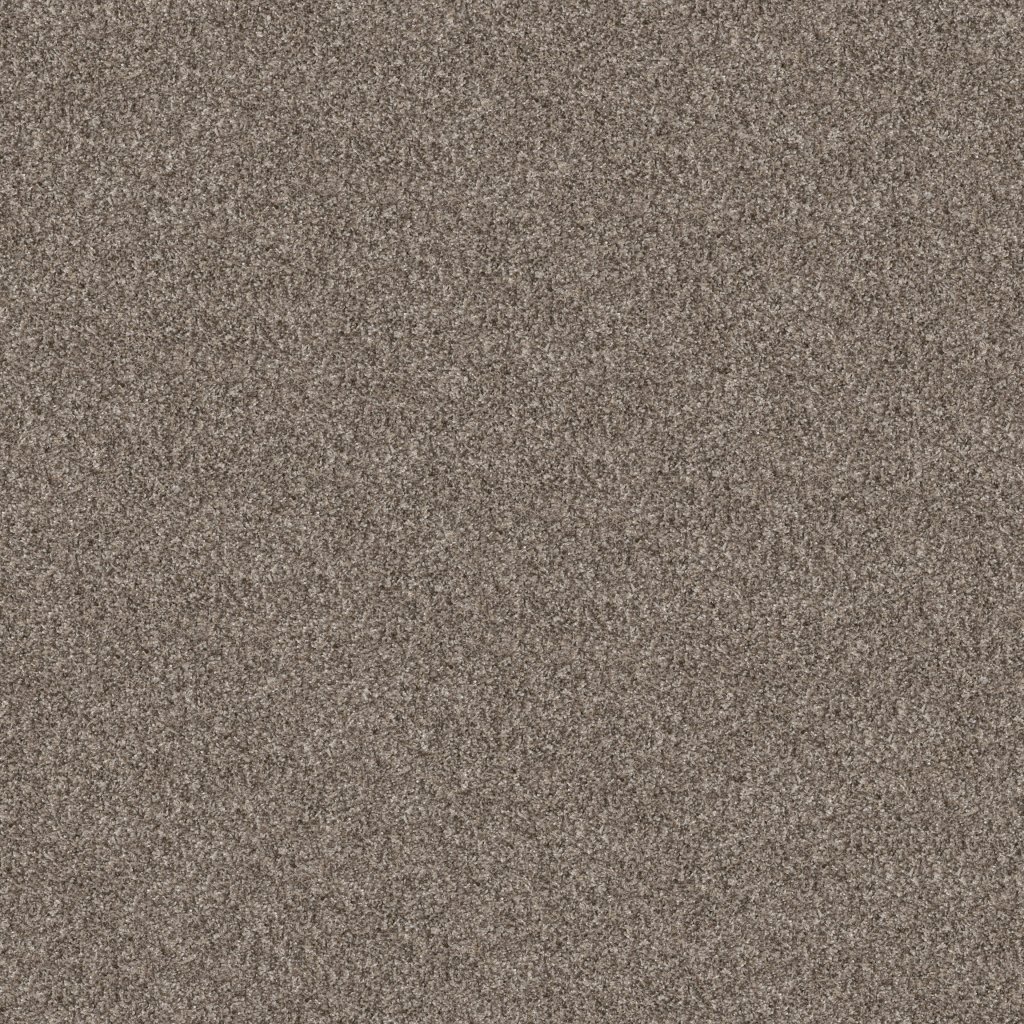 Shaw Floors Yes You Can II 15' - Refined