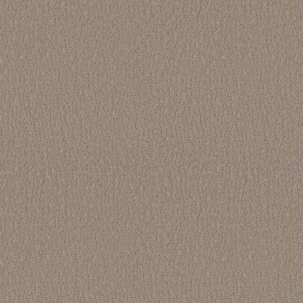 Shaw Floors Studio Set - Kindling