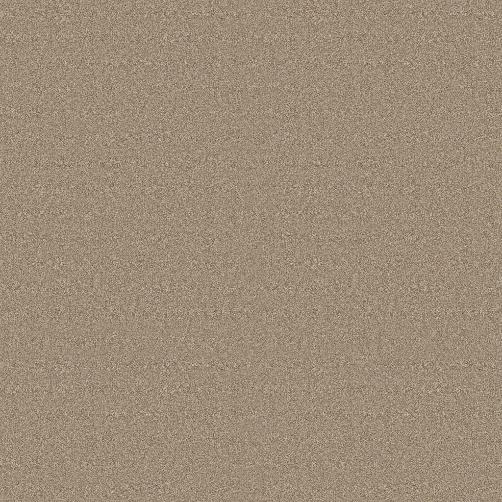 Shaw Floors Classic Tone - Natural Stone