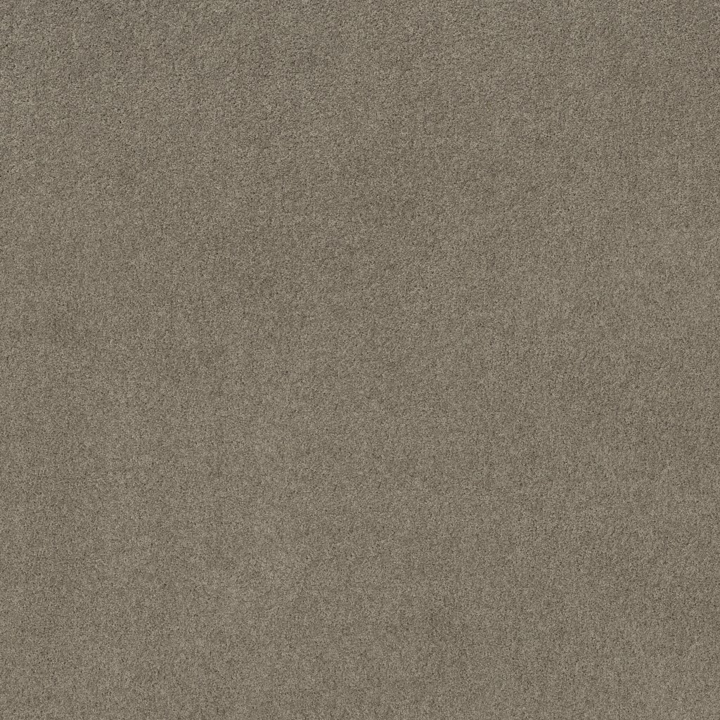 Shaw Floors My Inspiration I - Rocky Coast